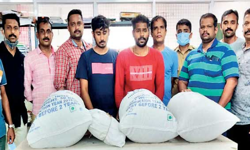 Two arrested with 54 kg of cannabis