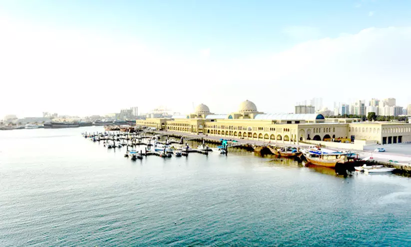 കാ​ത്സ്യം ബ്രോ​മൈ​ഡ്​ ഫാ​ക്​​ട​റി സ്​​ഥാ​പി​ക്കും