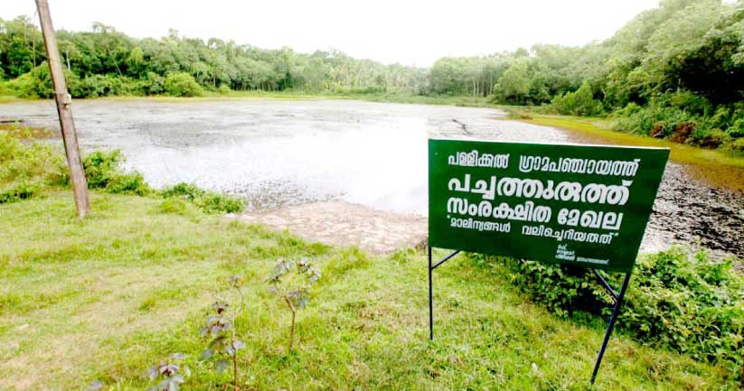 pallikkal arattu chira pallikkal arattu chira