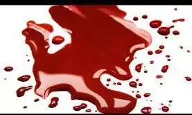 ഒപ്പംവരാന് നിര്ബന്ധിച്ചു; വിസമ്മതിച്ചതോടെ യുവതിയെ സുഹൃത്ത് ഷാള് ചുറ്റി കൊലപ്പെടുത്തി ഒപ്പംവരാന് നിര്ബന്ധിച്ചു; വിസമ്മതിച്ചതോടെ യുവതിയെ സുഹൃത്ത് ഷാള് ചുറ്റി കൊലപ്പെടുത്തി