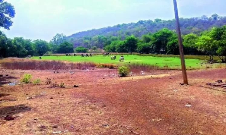 land in kerala land in kerala