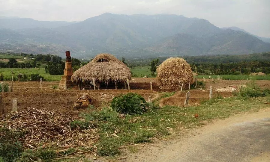 tribal land tribal land