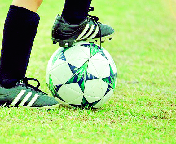 അനുമതിയില്ല; കട്ടപ്പനയിലെ ഫുട്‌ബാള്‍ ടര്‍ഫുകള്‍ക്കെതിരെ നടപടി