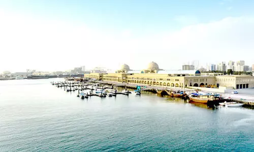 കാ​ത്സ്യം ബ്രോ​മൈ​ഡ്​ ഫാ​ക്​​ട​റി സ്​​ഥാ​പി​ക്കും