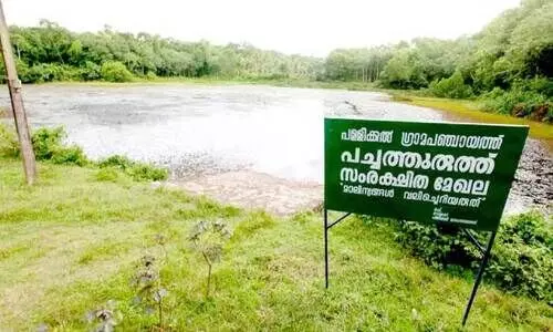 pallikkal arattu chira