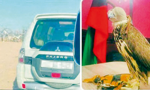 നാ​ച്വ​റ​ൽ റി​സ​ർ​വി​ൽ അ​തി​ക്ര​മി​ച്ചു​ ക​ട​ന്ന​യാ​ൾ പി​ടി​യി​ൽ