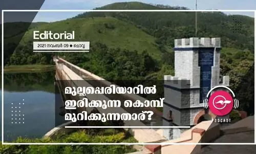 മുല്ലപ്പെരിയാറിൽ ​ഇരിക്കുന്ന കൊമ്പ്​ മുറിക്കുന്നതാര്​?