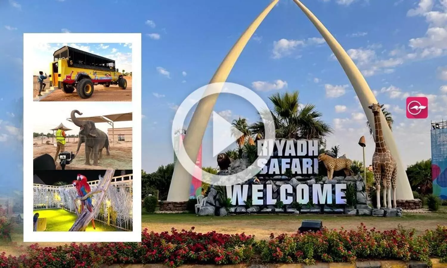 മണ്ണിൽ തീർത്ത മരുഭൂ ഉദ്യാനം; റിയാദ് സീസണിലെ സഫാരി പാർക്ക്