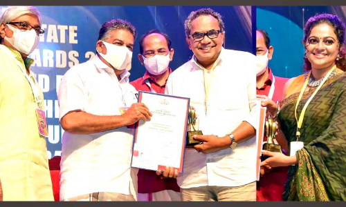 state television award