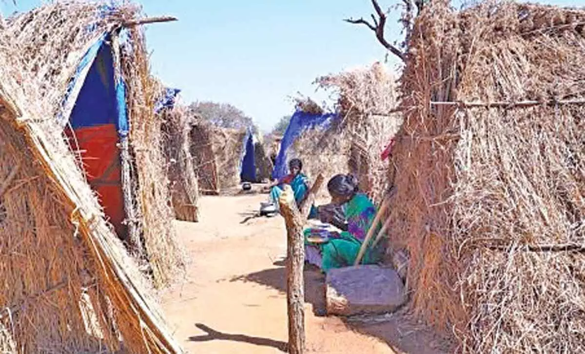 ആദിവാസിയെ കാട്ടിൽനിന്ന് ആട്ടിപ്പായിക്കുേമ്പാൾ ആദിവാസിയെ കാട്ടിൽനിന്ന് ആട്ടിപ്പായിക്കുേമ്പാൾ