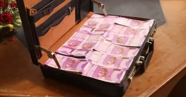 money in suitcase