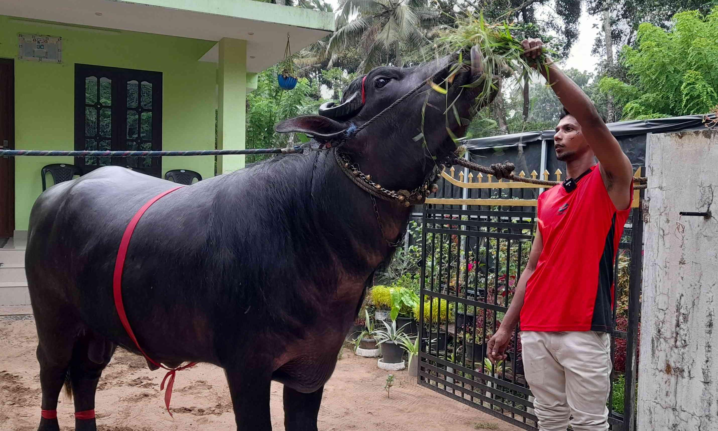 arakkal raja arakkal raja