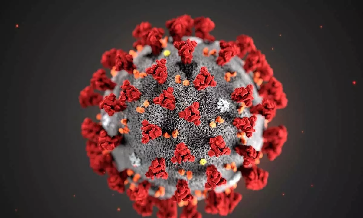 സൗദിയിൽ 38 പേർക്ക്​ കോവിഡ്​, ഒരു മരണം