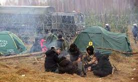 പോളണ്ട് അതിർത്തി കടന്ന കുടിയേറ്റ സംഘങ്ങൾ പിടിയിൽ പോളണ്ട് അതിർത്തി കടന്ന കുടിയേറ്റ സംഘങ്ങൾ പിടിയിൽ