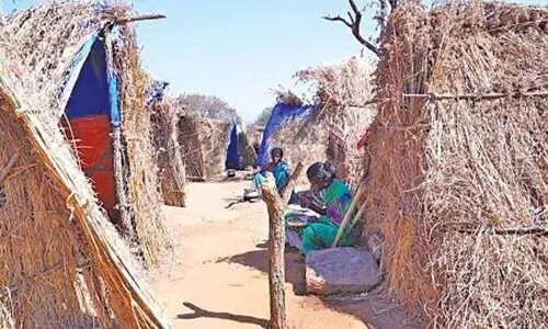 ആദിവാസിയെ കാട്ടിൽനിന്ന്​ ആട്ടിപ്പായിക്കു​േമ്പാൾ