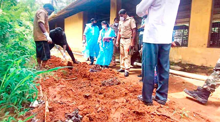 മറവ് ചെയ്ത നായ്ക്കളുടെ ജഡം പുറത്തെടുത്ത് പോസ്​റ്റ്​മോർട്ടം നടത്തി