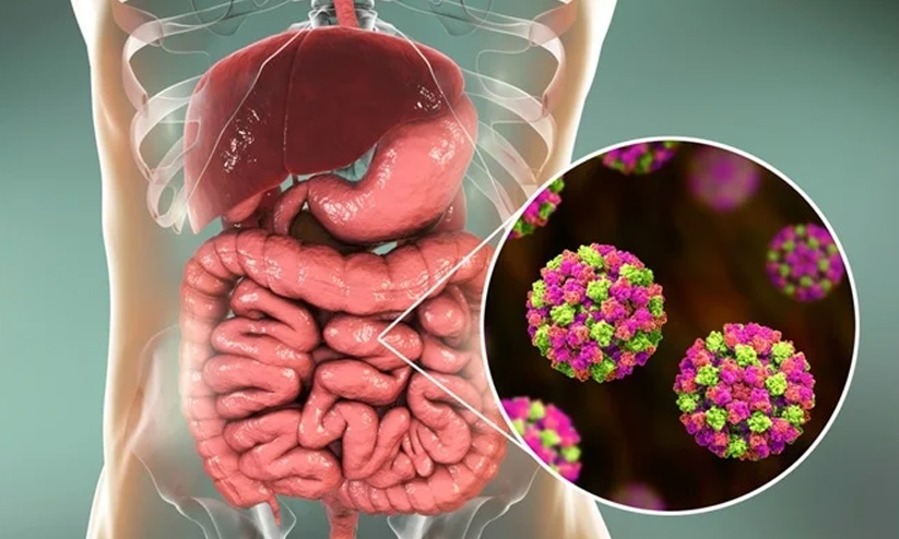 നോറോ വൈറസ് ലക്ഷണങ്ങളും പ്രതിരോധ മാർഗങ്ങളും അറിയാം; കേരളത്തിൽ രോഗം സ്ഥിരീകരിച്ചു നോറോ വൈറസ് ലക്ഷണങ്ങളും പ്രതിരോധ മാർഗങ്ങളും അറിയാം; കേരളത്തിൽ രോഗം സ്ഥിരീകരിച്ചു