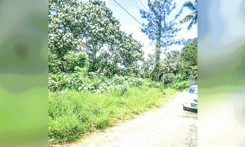 നിർഭയ കേന്ദ്രം റെഡി; നല്ലൊരു സ്ഥലമില്ല