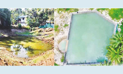 സൂപ്പറായി തരകന്‍ ലാസര്‍ കുളം; ആർക്കുമൊന്ന് കുളിക്കാൻ തോന്നും