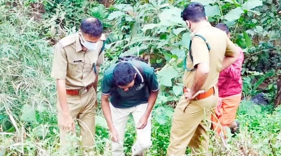 പാൽച്ചുരത്ത് പുലിയുടെ കാൽപാടുകൾ; കൂട് സ്ഥാപിക്കാനൊരുങ്ങി വനം വകുപ്പ്