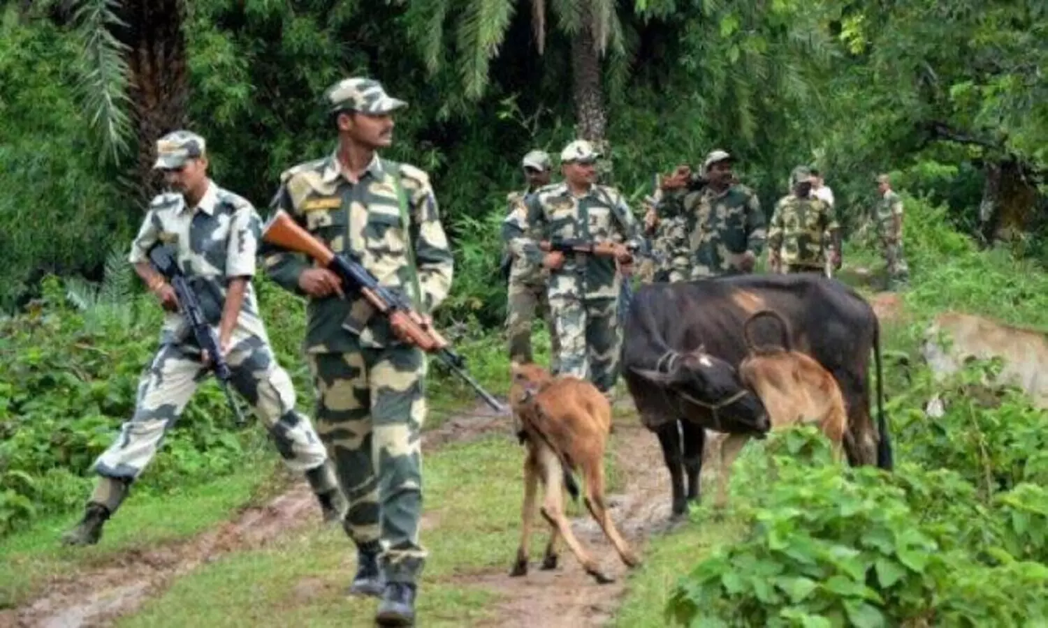 ബംഗാളിൽ കാലിക്കടത്തിനിടെ ബി.എസ്​.എഫുമായി ഏറ്റുമുട്ടൽ; മൂന്നു മരണം
