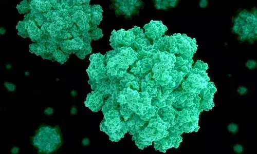 അന്തിമ റിപ്പോർട്ട്​ വന്നു: നോറോ വൈറസ് തന്നെ, തൃ​ശൂ​രിൽ നി​രീ​ക്ഷ​ണം ശ​ക്തം