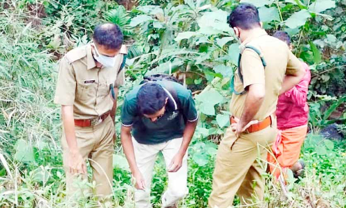 പാൽച്ചുരത്ത് പുലിയുടെ കാൽപാടുകൾ; കൂട് സ്ഥാപിക്കാനൊരുങ്ങി വനം വകുപ്പ്