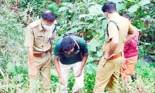 പാൽച്ചുരത്ത് പുലിയുടെ കാൽപാടുകൾ; കൂട് സ്ഥാപിക്കാനൊരുങ്ങി വനം വകുപ്പ്