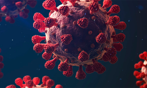 കോ​വി​ഡ്​: 148 പു​തി​യ രോ​ഗി​ക​ൾ