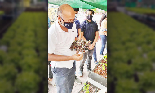 പു​തു​പാ​ഠ​ങ്ങ​ളു​മാ​യി മ​സ്‌​ക​ത്ത്​ ഇ​ന്ത്യ​ൻ സ്‌​കൂ​ളി​ൽ ഹൈ​ഡ്രോ​പോ​ണി​ക്‌​സ് കൃ​ഷി