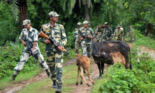 ബംഗാളിൽ കാലിക്കടത്തിനിടെ ബി.എസ്​.എഫുമായി ഏറ്റുമുട്ടൽ; മൂന്നു മരണം