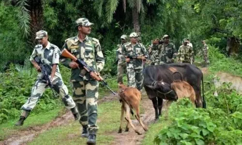 ബംഗാളിൽ കാലിക്കടത്തിനിടെ ബി.എസ്​.എഫുമായി ഏറ്റുമുട്ടൽ; മൂന്നു മരണം