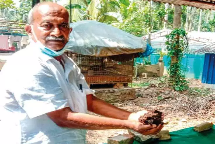Hamsa reaps success in mixed farming
