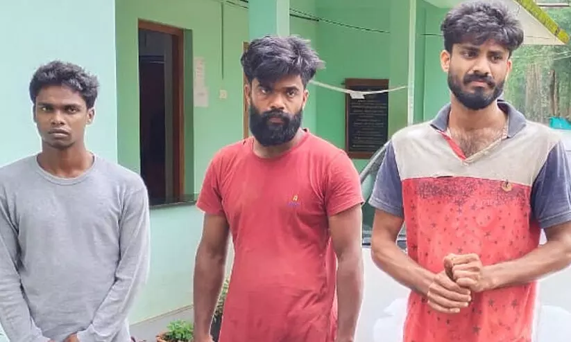 ചന്ദനവേട്ട; മൂന്നംഗ സംഘം അറസ്റ്റിൽ ചന്ദനവേട്ട; മൂന്നംഗ സംഘം അറസ്റ്റിൽ
