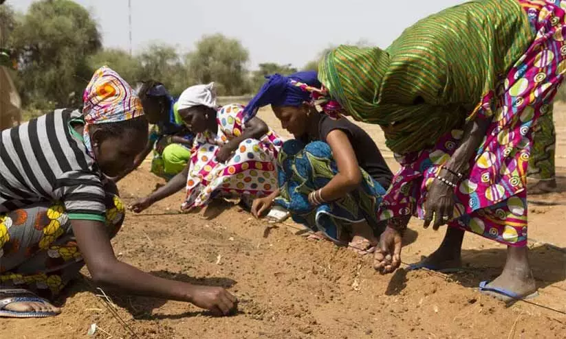 5000 മൈൽ ദൂരം മരങ്ങൾ നടും; സഹേൽ മേഖലയെ പച്ച പുതപ്പിക്കാൻ ആഫ്രിക്കൻ രാജ്യങ്ങൾ 5000 മൈൽ ദൂരം മരങ്ങൾ നടും; സഹേൽ മേഖലയെ പച്ച പുതപ്പിക്കാൻ ആഫ്രിക്കൻ രാജ്യങ്ങൾ