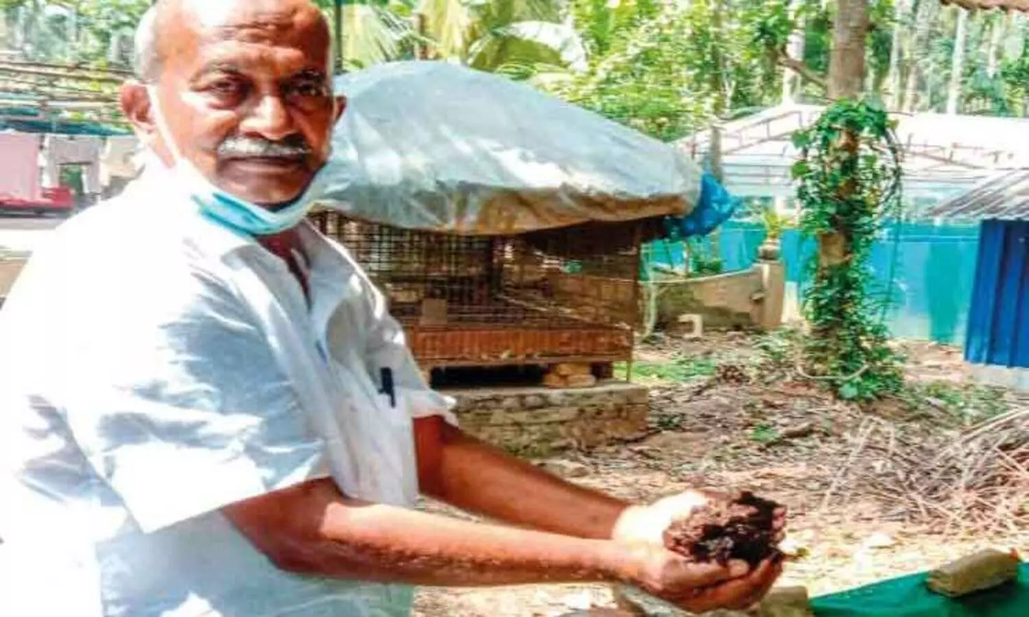Hamsa reaps success in mixed farming