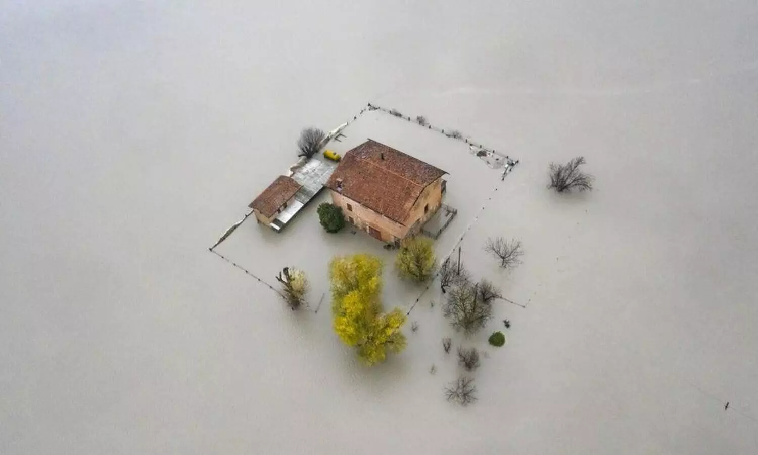 2021ലെ ലോകത്തെ ഏറ്റവും മികച്ച പരിസ്​ഥിതി ചിത്രങ്ങൾ കാണാം