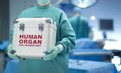 തീരത്ത് പിടിമുറുക്കി അവയവ മാഫിയ; ആറ്​ സ്​ത്രീകൾ വൃക്ക വിറ്റു