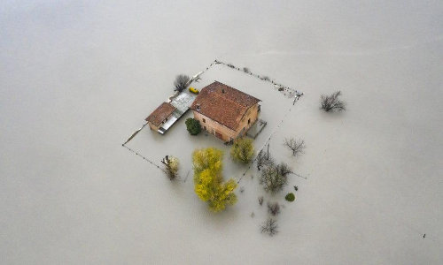 2021ലെ ലോകത്തെ ഏറ്റവും മികച്ച പരിസ്​ഥിതി ചിത്രങ്ങൾ കാണാം