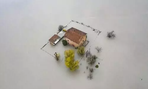 2021ലെ ലോകത്തെ ഏറ്റവും മികച്ച പരിസ്​ഥിതി ചിത്രങ്ങൾ കാണാം