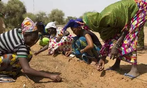 5000 മൈ​ൽ ദൂ​രം മ​ര​ങ്ങ​ൾ നടും; സ​ഹേ​ൽ മേ​ഖ​ല​യെ പ​ച്ച പു​ത​പ്പി​ക്കാ​ൻ ആ​ഫ്രി​ക്ക​ൻ രാ​ജ്യ​ങ്ങ​ൾ