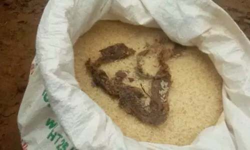 റേഷനരിയിൽ ചത്ത പാമ്പി​െൻറ അവശിഷ്​ടം