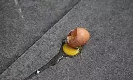 ഒഡീഷയിൽ മന്ത്രിക്കും എം.എൽ.എക്കും നേരെ മുട്ടയേറ് ഒഡീഷയിൽ മന്ത്രിക്കും എം.എൽ.എക്കും നേരെ മുട്ടയേറ്