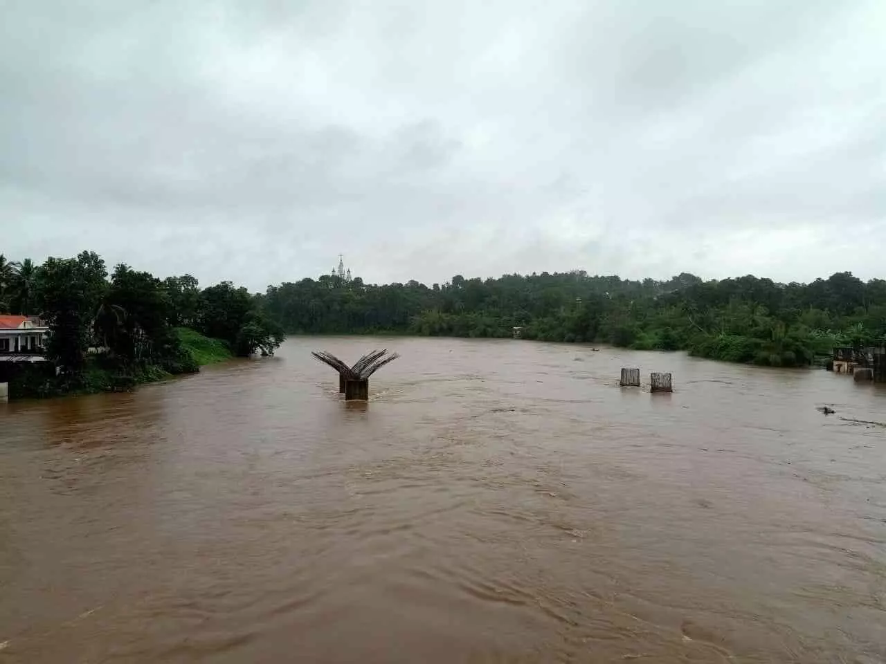 കനത്ത മഴ; റാന്നി താലൂക്കിലെ താഴ്ന്ന പ്രദേശങ്ങൾ വെള്ളത്തിൽ മുങ്ങി കനത്ത മഴ; റാന്നി താലൂക്കിലെ താഴ്ന്ന പ്രദേശങ്ങൾ വെള്ളത്തിൽ മുങ്ങി