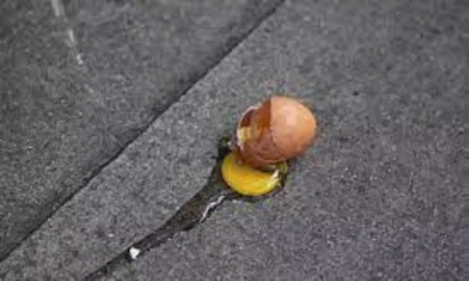 ഒഡീഷയിൽ മന്ത്രിക്കും എം.എൽ.എക്കും നേരെ മുട്ടയേറ്