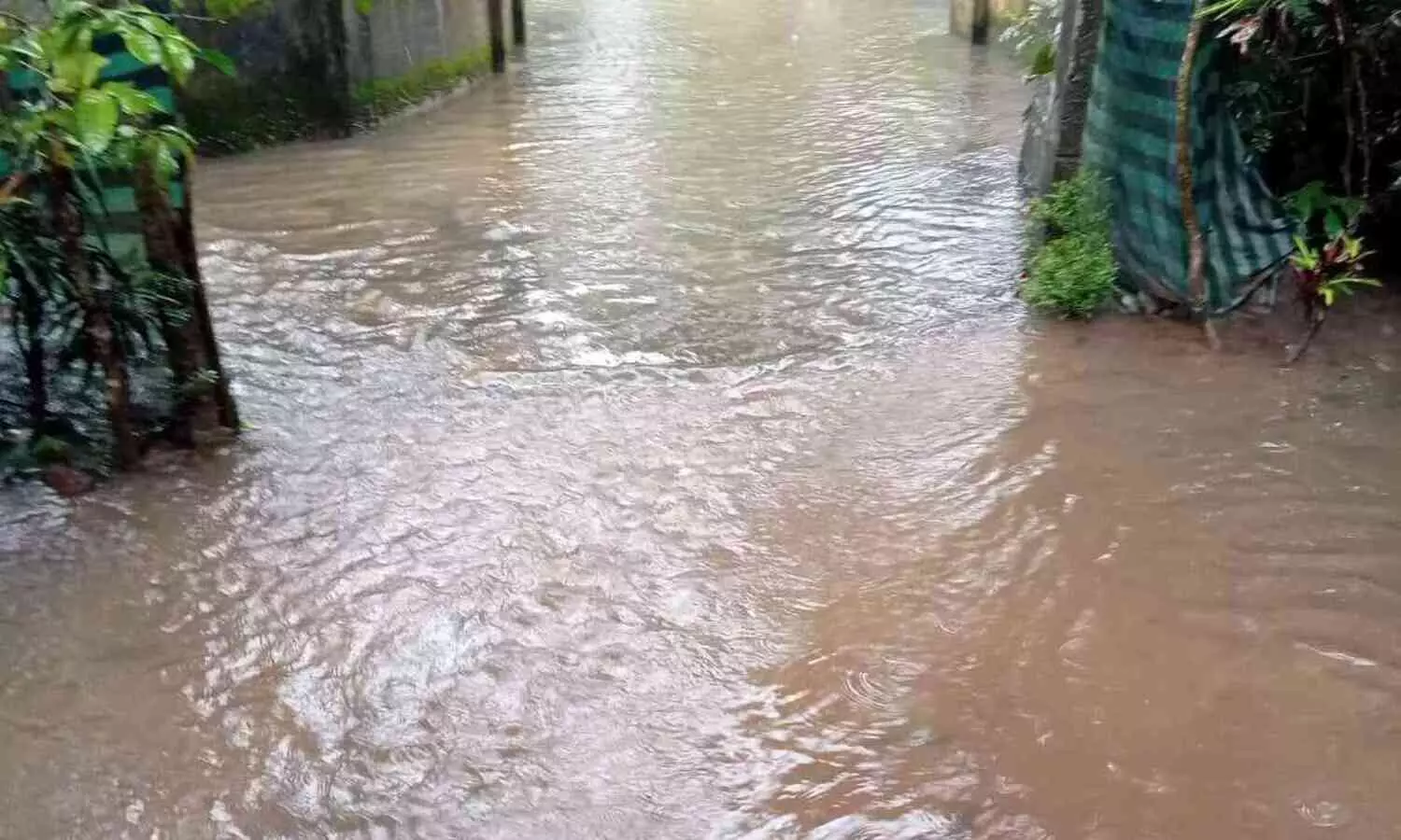 വെള്ളത്തിൽ മുങ്ങി ഓണാട്ടുകര