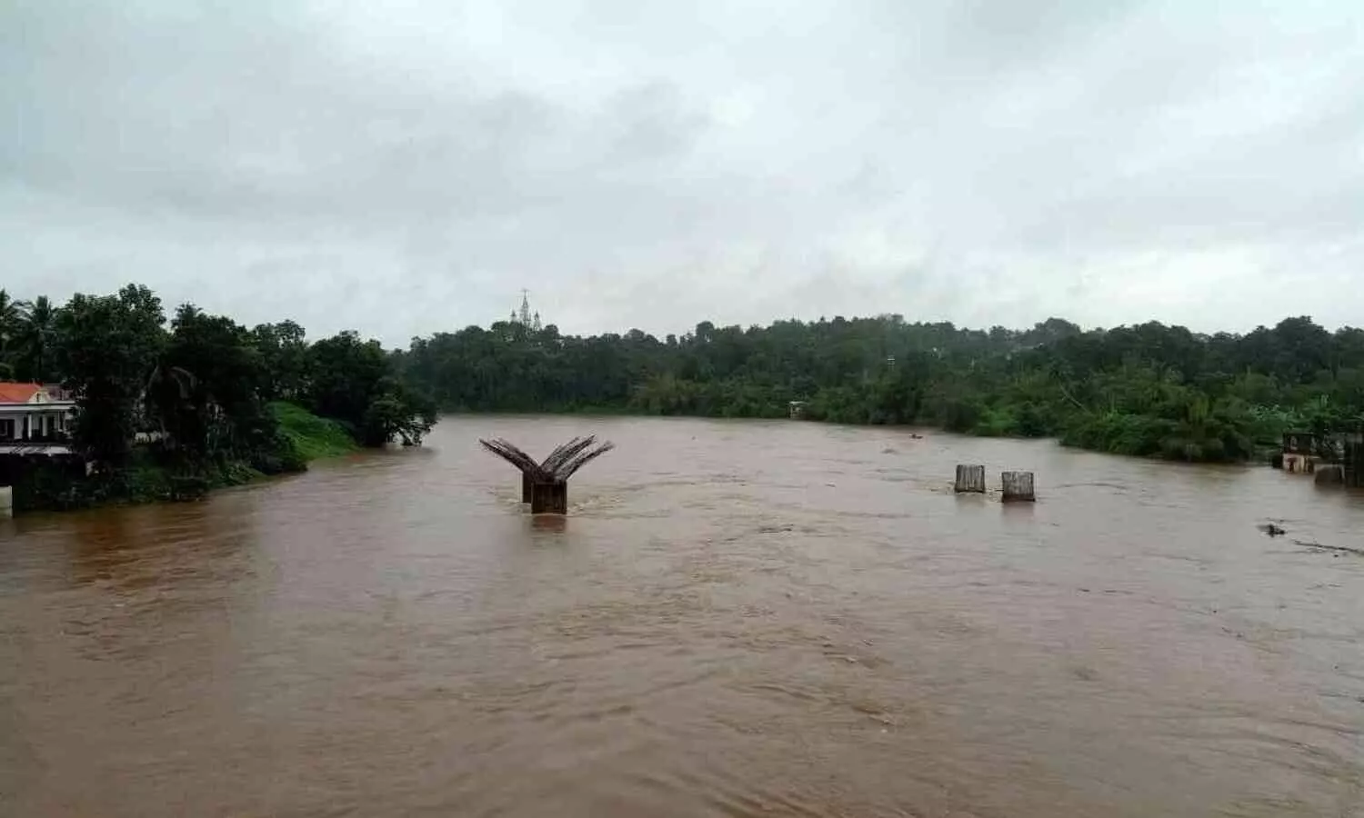 കനത്ത മഴ; റാന്നി താലൂക്കിലെ താഴ്ന്ന പ്രദേശങ്ങൾ  വെള്ളത്തിൽ മുങ്ങി