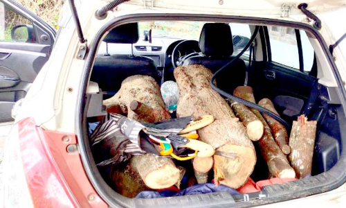 മേപ്പാടി റേഞ്ചിൽ വൻ ചന്ദനവേട്ട; മൂന്നംഗ സംഘം അറസ്റ്റിൽ മേപ്പാടി റേഞ്ചിൽ വൻ ചന്ദനവേട്ട; മൂന്നംഗ സംഘം അറസ്റ്റിൽ