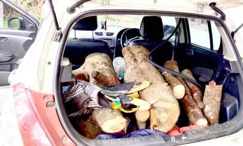 മേപ്പാടി റേഞ്ചിൽ വൻ ചന്ദനവേട്ട; മൂന്നംഗ സംഘം അറസ്​റ്റിൽ