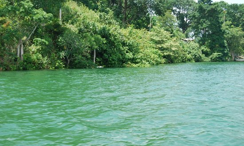 നെ​യ്യാ​റി​ൽ സ്ത്രീ​യു​ടെ മൃ​ത​ദേ​ഹം ക​ണ്ടെ​ത്തി